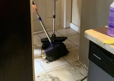 Professional Cleaning Services